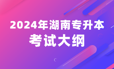 2024年湖南人文科技學院專升本《財務會計學》考試大綱